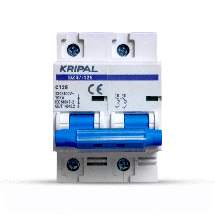 Kripal DZ47-125 2-Pole 125A AC Miniature Circuit Breaker (MCB)